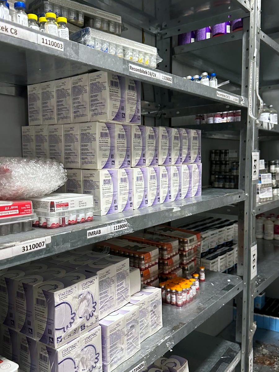 Mercadería ordenada por posición en estantería